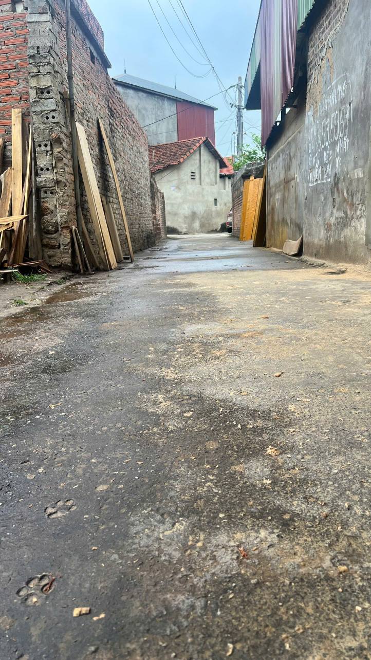 Đất chờ khách, 103m2, mt5m, Thanh Trí, Sóc Sơn, 2.15 tỷ, ô tô thông. - Ảnh 4
