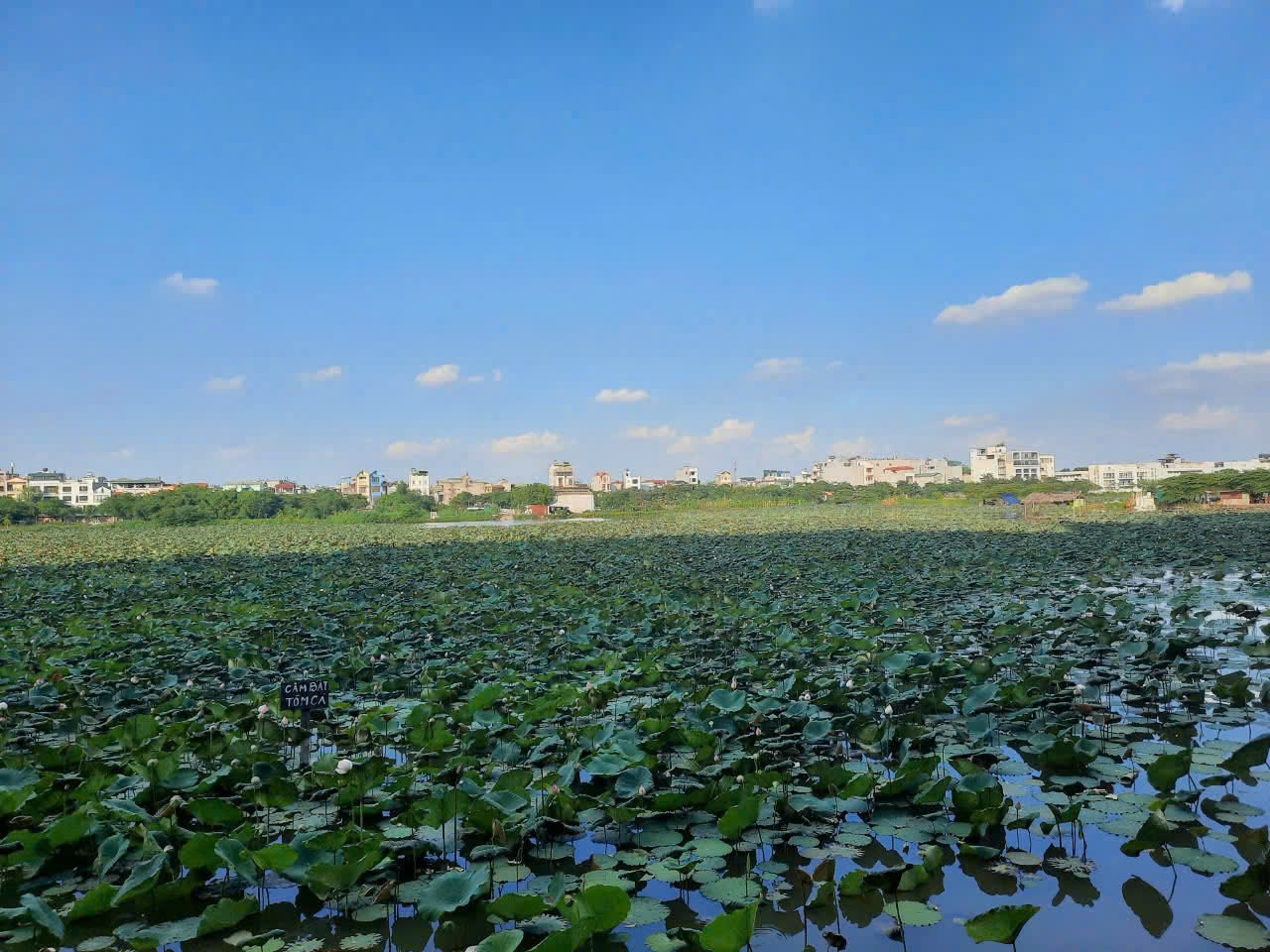 Bán nhanh trong tháng nhà đẹp Phúc Lợi, ngõ oto, 1 nhà ra oto tránh, 30m, 4,38 tỷ - Ảnh 1