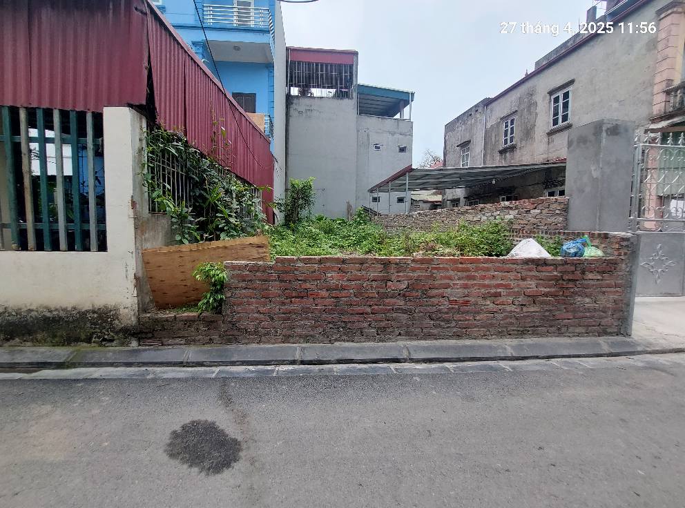 Đất Nam Hồng, 75m2, mt5m, ô tô 7 chỗ thông, 6 tỷ, Đông Anh. - Ảnh 2