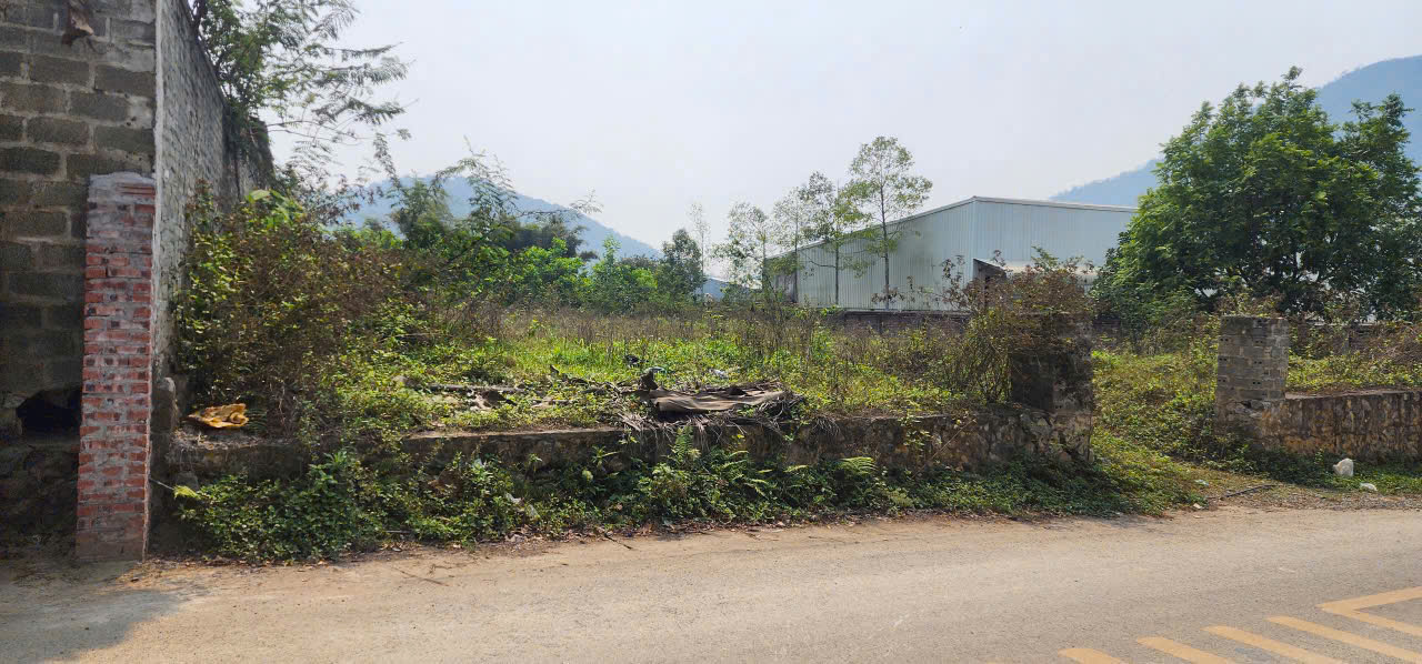 GẦN 1.000M2 PHÚ MÃN SIÊU NÉT; GÍA LOANH QUANH 10TR/M2 - Ảnh chính