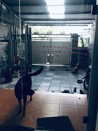 CHÍNH CHỦ CẦN BÁN ĐẤT TRUNG TÂM METRO HÀ TU – HẠ LONG - Ảnh 3