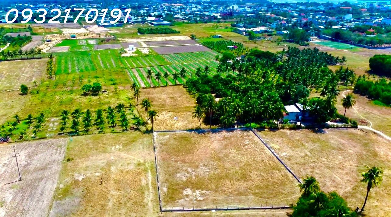 Hi Hữu Lô Đất Đầu Tư Sinh Lời Cao- Tài Chính Ít- Full Thổ- Ngay Khu Dân cư - Tp Cam Ranh - Ảnh 3