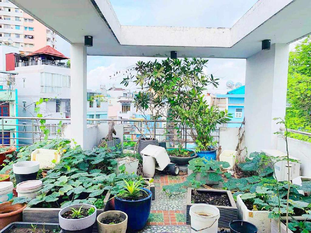 💥 GIẢM SỐC 1 TỶ – CƠ HỘI SỞ HỮU TÒA NHÀ CHDV CAO CẤP LÊ VĂN SỸ, Q.3 – GIÁ MỚI CHỈ 17 TỶ - Ảnh 1