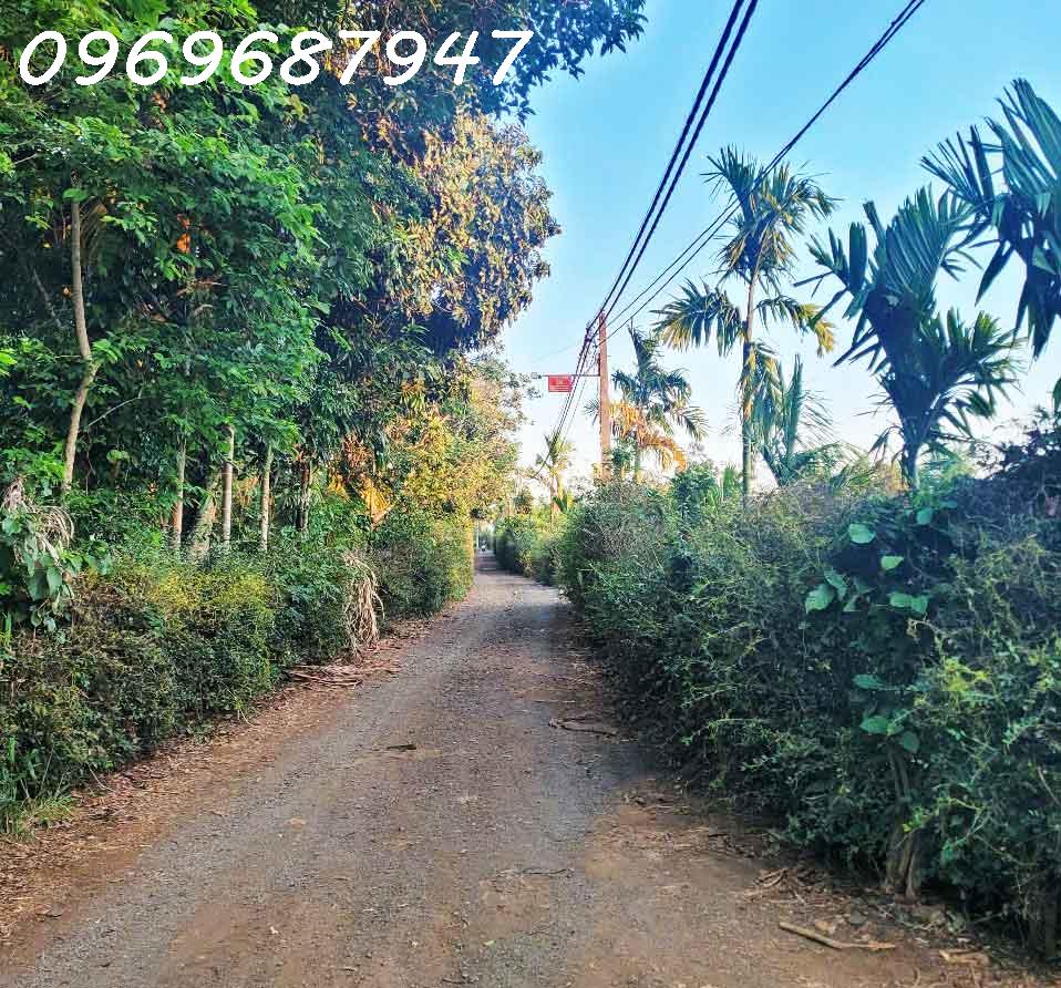 CƠ HỘI ĐẦU TƯ – 1.3HA GIÁ CHỈ 650 TRIỆU/SÀO! CUÔR ĐĂNG GIÁP HÒA THUẬN-BUÔN MATHUỘT - ĐĂK LĂK - Ảnh 2