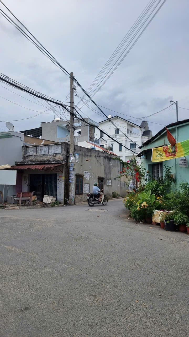 Lô Đất Đẹp (8x22) Mặt Tiền Đường 12m Ấp Đông 3, xã Thới Tam Thôn, Hóc Môn - Ảnh chính