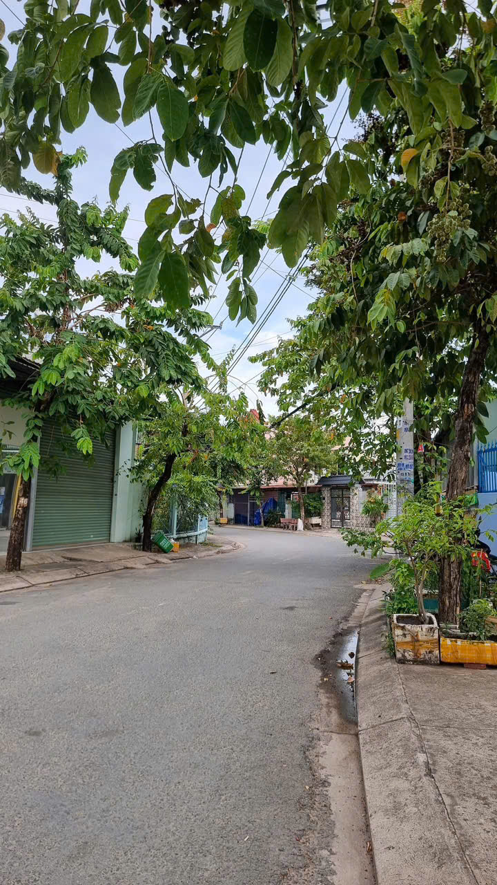 Lô Đất Đẹp (8x22) Mặt Tiền Đường 12m Ấp Đông 3, xã Thới Tam Thôn, Hóc Môn - Ảnh 1