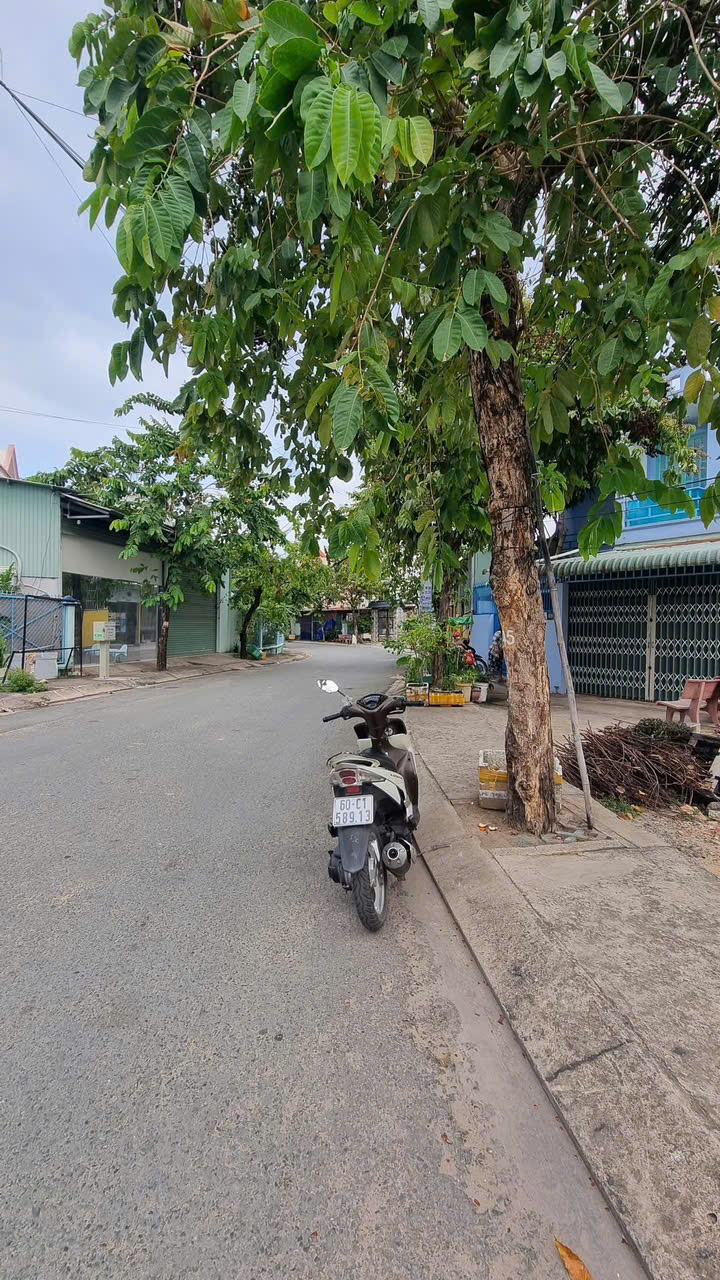 Lô Đất Đẹp (8x22) Mặt Tiền Đường 12m Ấp Đông 3, xã Thới Tam Thôn, Hóc Môn - Ảnh 2