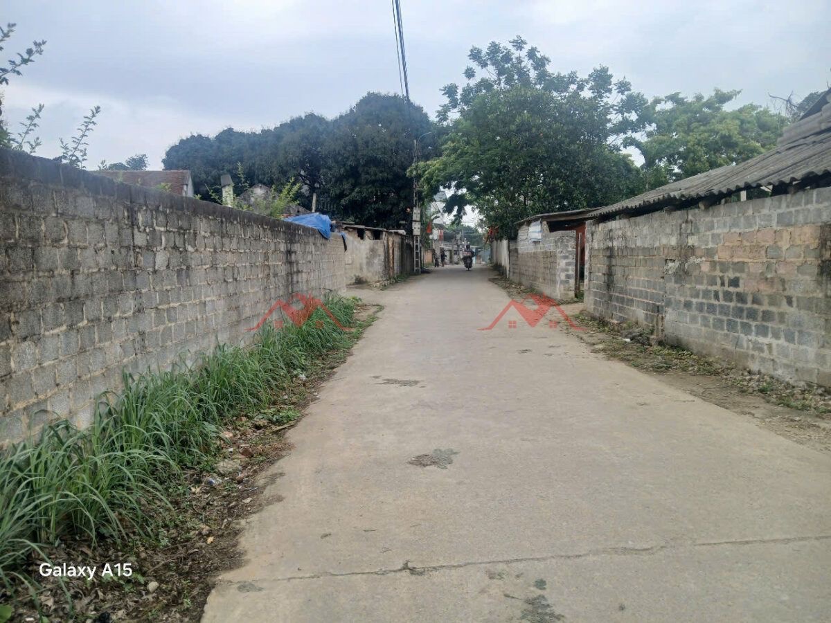 CHÍNH CHỦ BÁN LÔ ĐẤT 294M TẠI NAM PHƯƠNG TIẾN-CHƯƠNG MỸ-HÀ NỘI - Ảnh 3