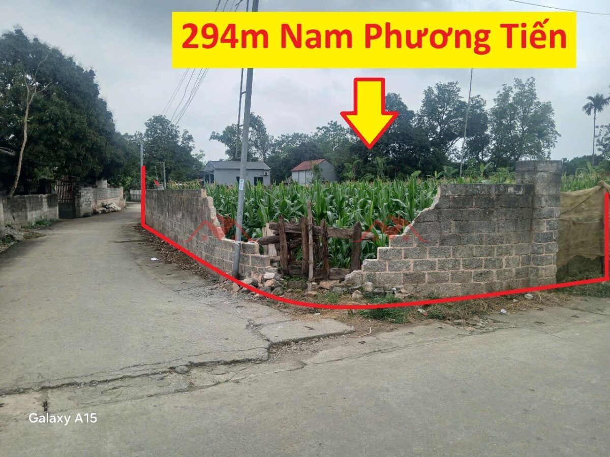 CHÍNH CHỦ BÁN LÔ ĐẤT 294M TẠI NAM PHƯƠNG TIẾN-CHƯƠNG MỸ-HÀ NỘI - Ảnh chính