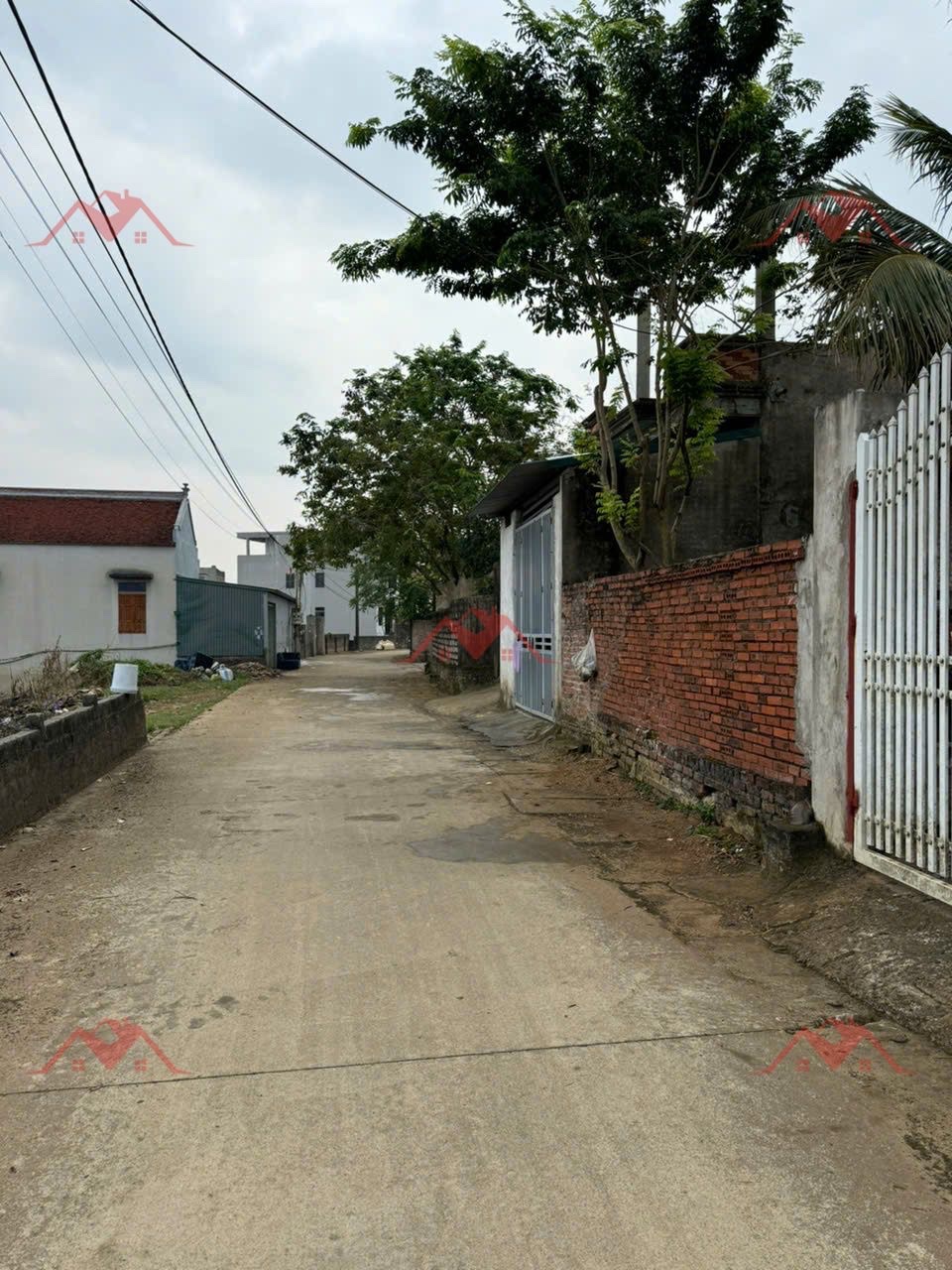 CHÍNH CHỦ BÁN LÔ ĐẤT 162,4M TẠI HOÀNG VĂN THỤ-CHƯƠNG MỸ-HÀ NỘI - Ảnh 3