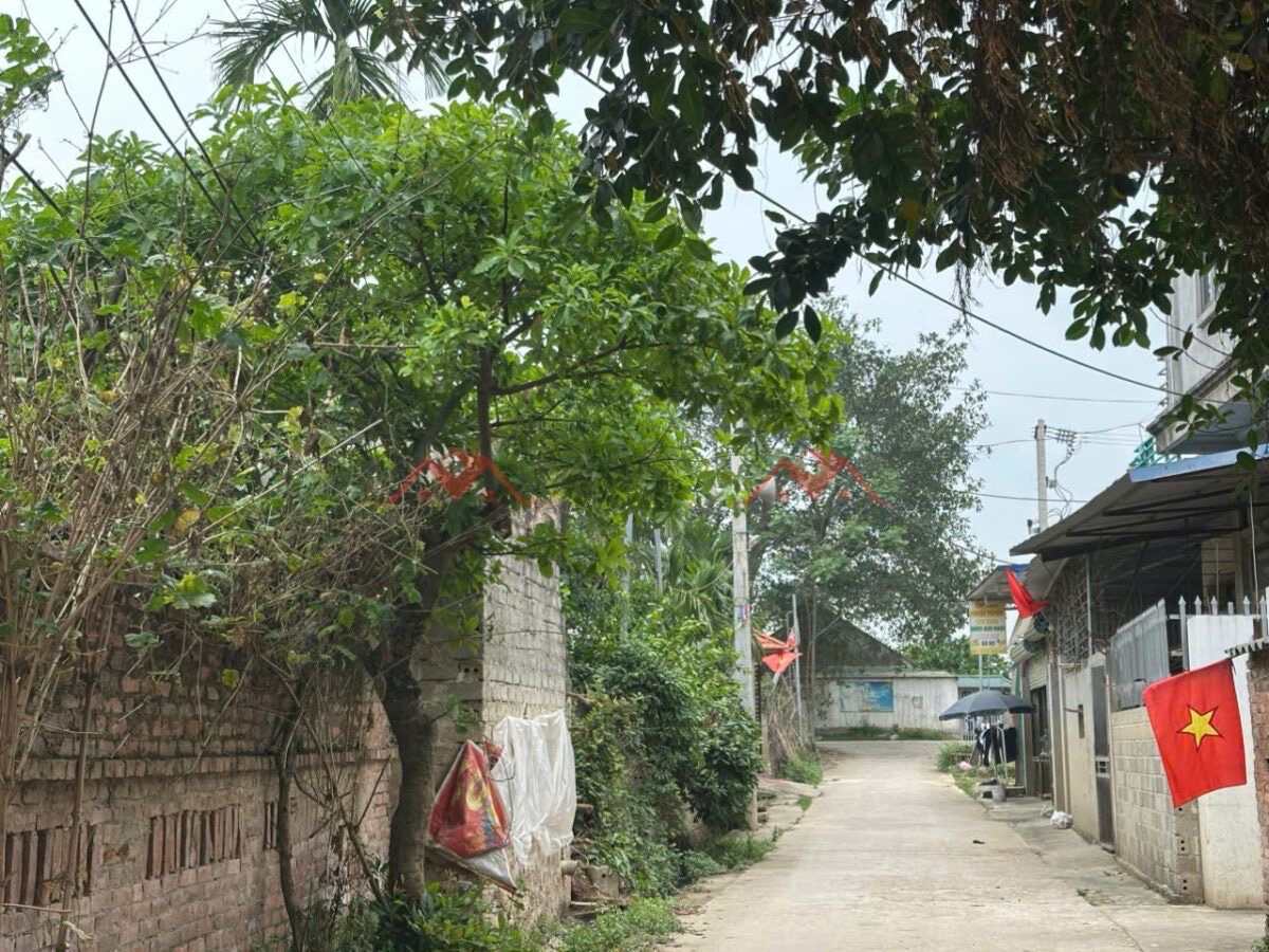 CHÍNH CHỦ BÁN LÔ ĐẤT 227M TẠI NAQM PHƯƠNG TIẾN-CHƯƠNG MỸ-HÀ NỘI - Ảnh 2