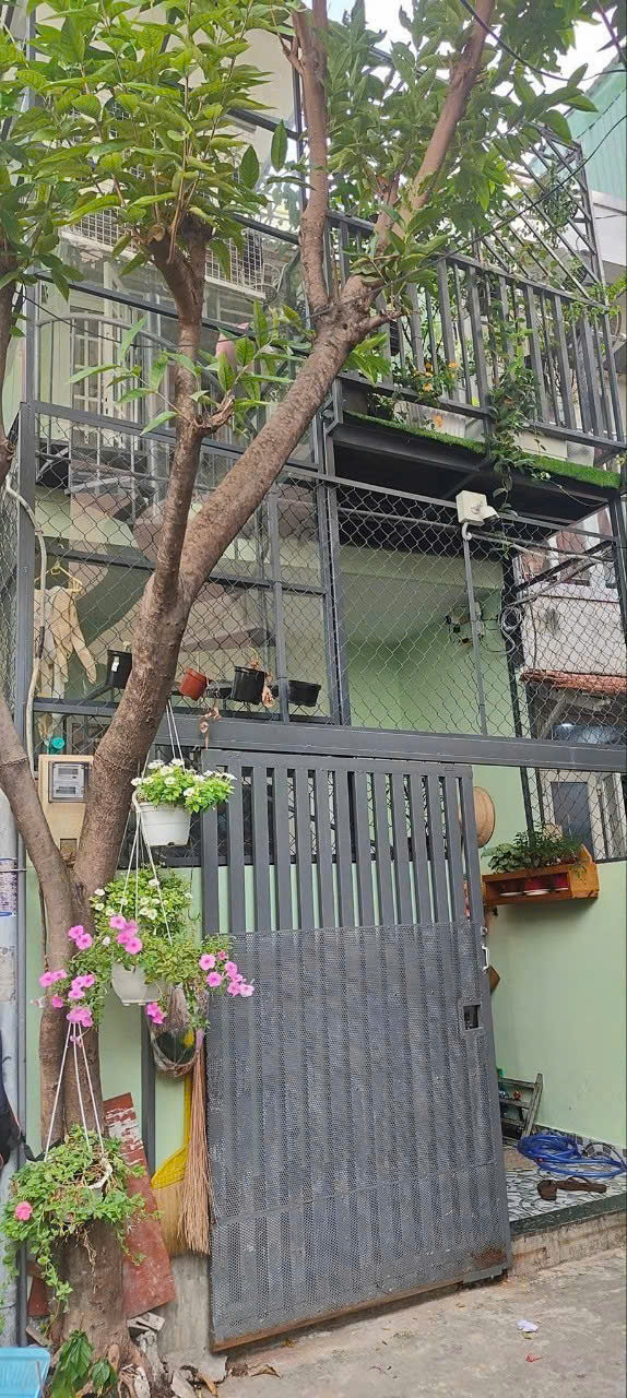CHÍNH CHỦ GẤP BÁN - NGUYỄN VĂN ĐẬU - P5 BÌNH THẠNH - 2 TẦNG 2PN - HẺM 3M - NHÀ NHỎ - HIẾM BÁN - - Ảnh 3
