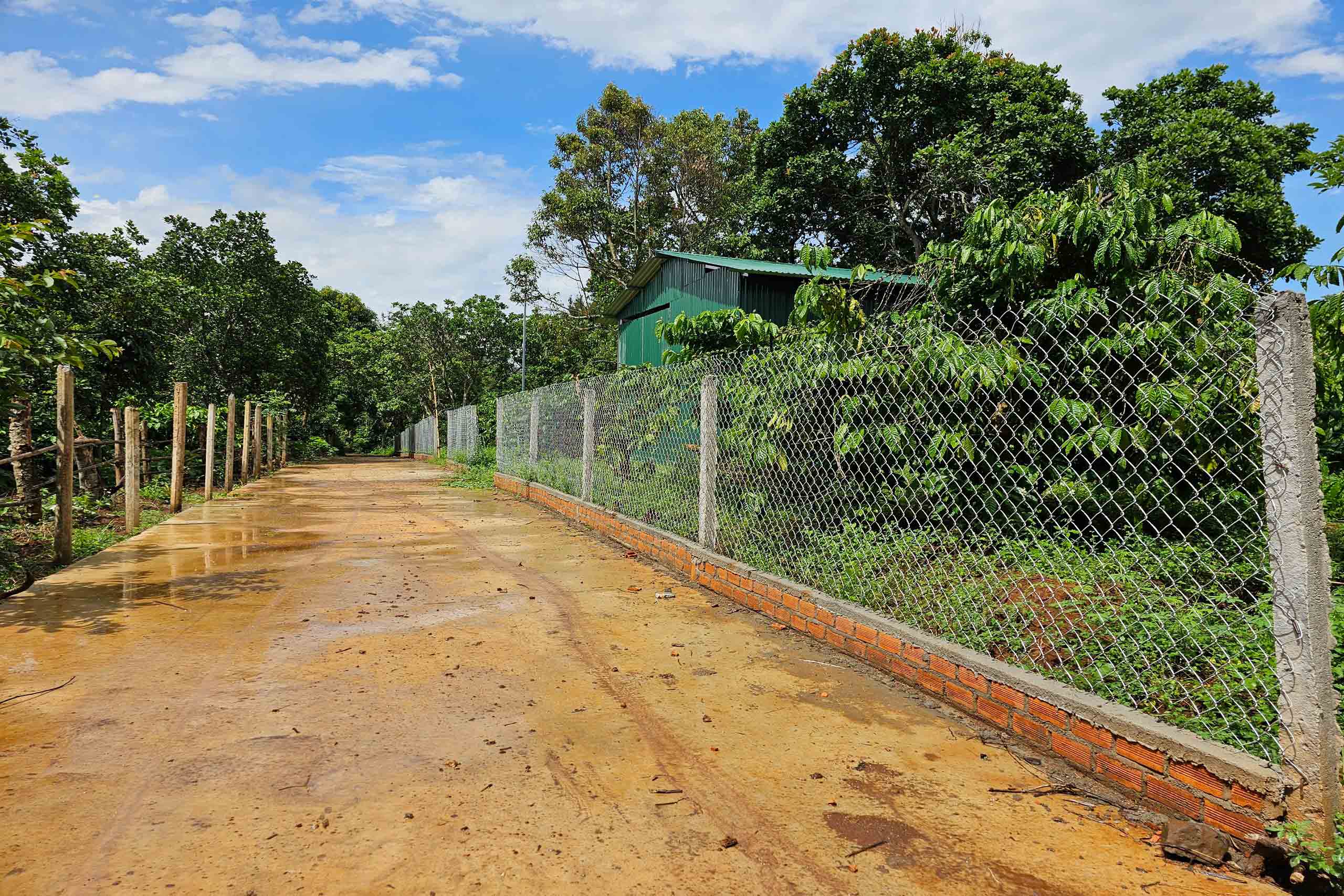 ĐẤT NÔNG NGHIỆP 1.7 HA, EA KAO - BUÔN MA THUỘT  - GIÁ HẤP DẪN 450 TRIỆU/SÀO - Ảnh 4