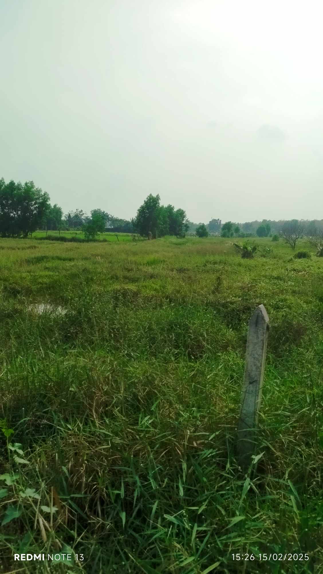 🔥 BÁN ĐẤT CỦ CHI - XÃ TRUNG LẬP HẠ - SỔ RIÊNG, GIÁ TỐT - 18 tỷ TL mạnh..... - Ảnh chính
