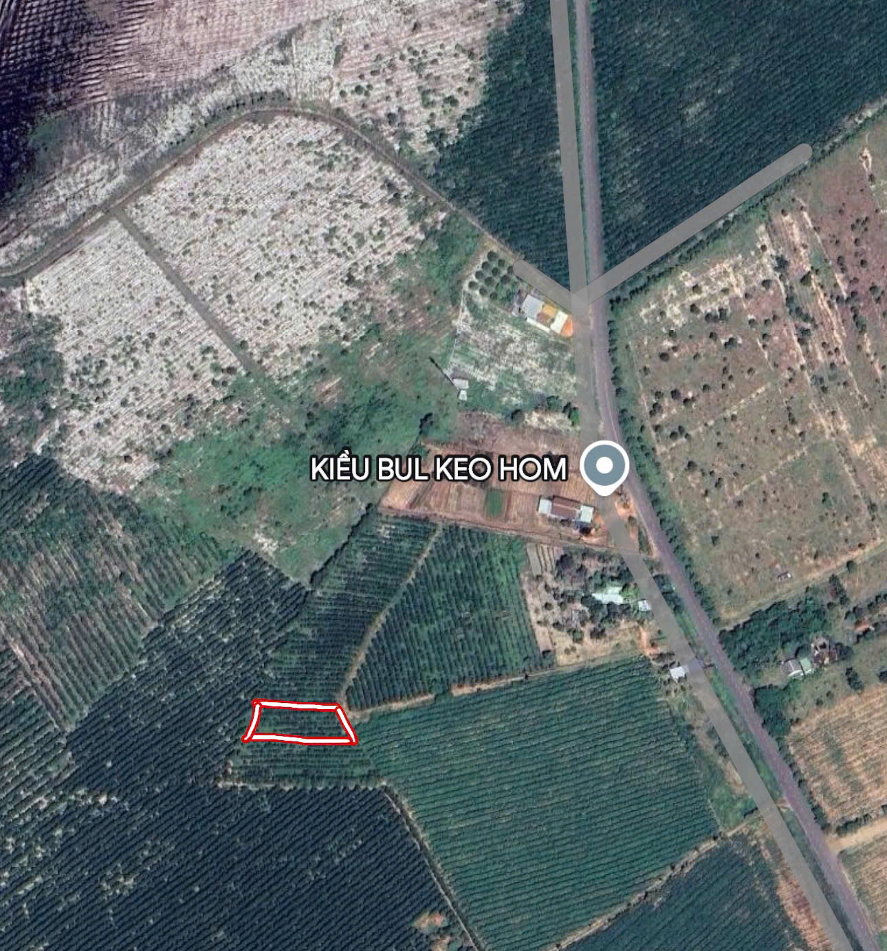 Cơ Hội Đầu Tư Đất Ở Thổ Cư Hàm Tân - Bình Thuận: 1033m², 1 Tỷ, Sổ Đỏ Chính Chủ! - Ảnh 1