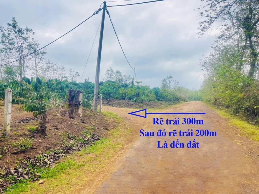 Bán Lô Đất Thị Xã Sổ Hồng Riêng tại phường THỐNG NHẤT - thị xã BUÔN HỒ - Daklak - Ảnh 3