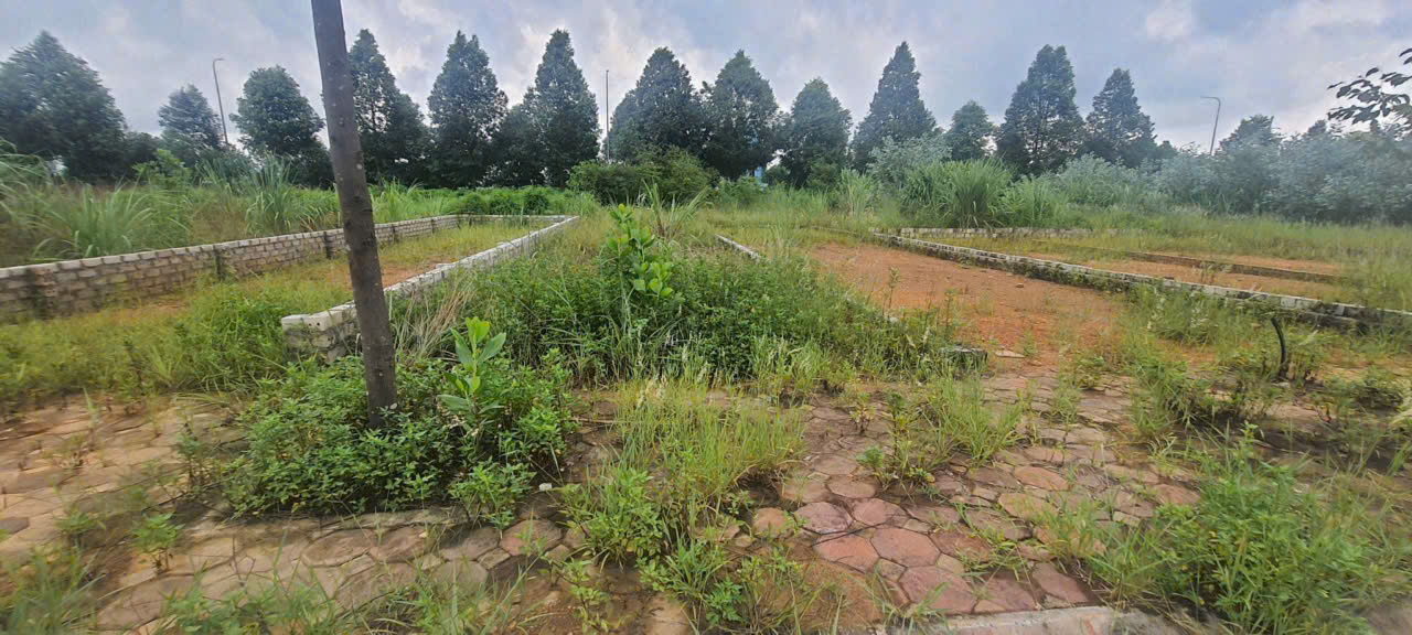 CÒN DUY NHẤT 01 LÔ 100M2, FULL ĐẤT Ở, TĐC ĐHQGHN - Ảnh chính