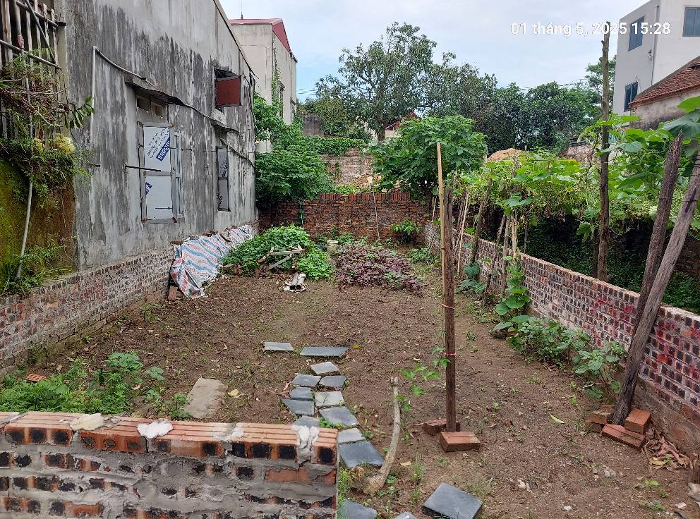 Chủ cần bán đất 59m2, mt5m, 5.7 tỷ, ô tô tải, Tiên Dương, Đông Anh. - Ảnh 1