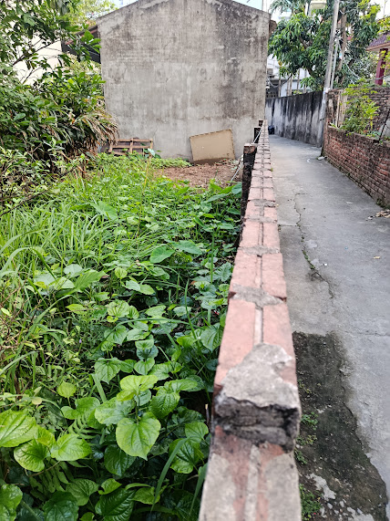 BÁN ĐẤT VÀNG PHÚC LỢI, LONG BIÊN - VỊ TRÍ ĐẮC ĐỊA, TIỀM NĂNG SINH LỜI CAO! - Ảnh chính