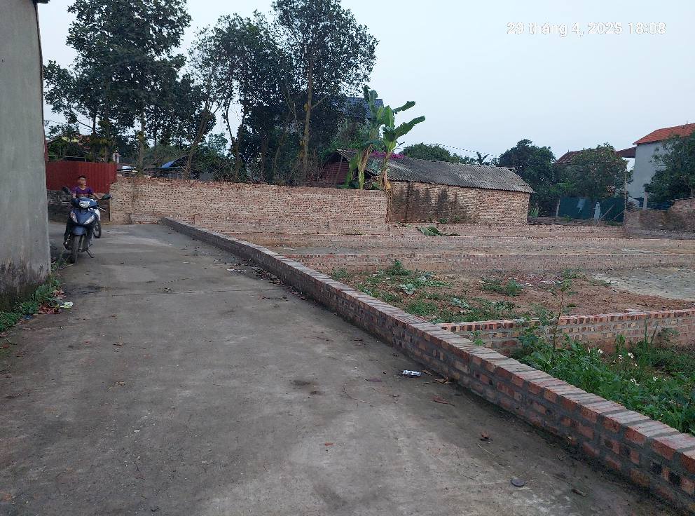 Đất Thanh Trí 128m2, mt5m,hậu 5.3m, chỉ 2.63 tỷ, Sóc Sơn. Ô tô. - Ảnh 2