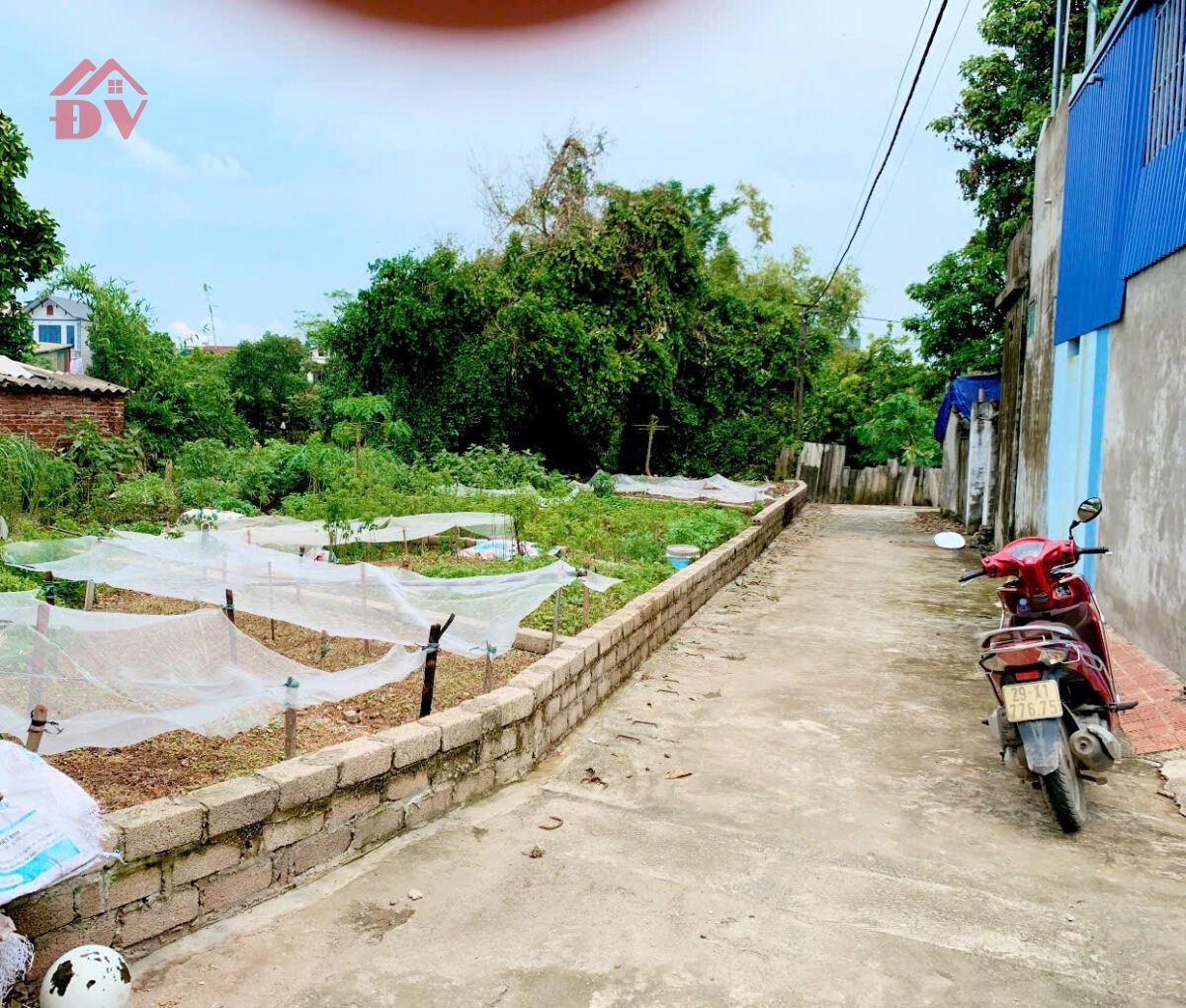 CHÍNH CHỦ BÁN LÔ ĐẤT 47,1M TẠI TRUNG HÒA-CHƯƠNG MỸ-HÀ NỘI - Ảnh 1