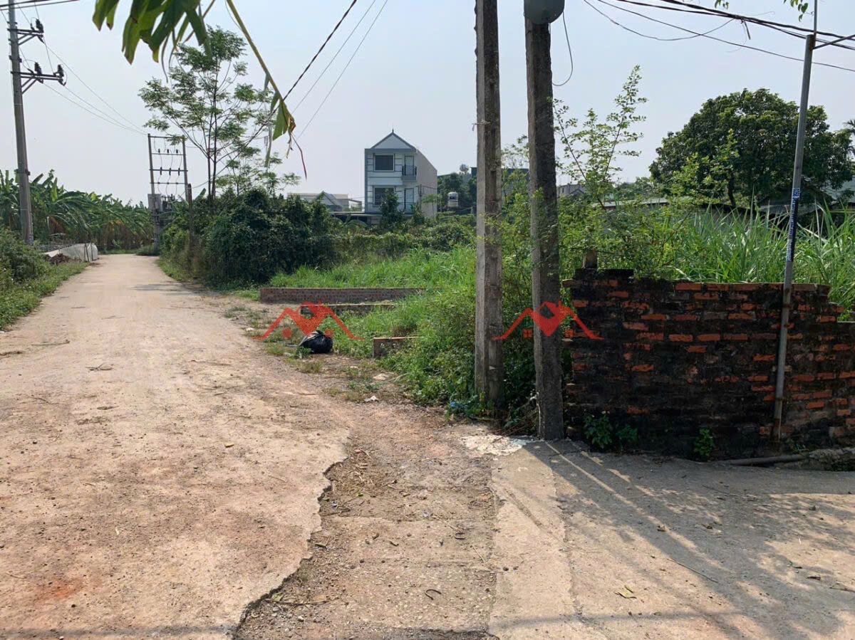 CHÍNH CHỦ BÁN LÔ ĐẤT 45,2M TẠI ĐẠI YÊN-CHƯƠNG MỸ-HÀ NỘI - Ảnh 1