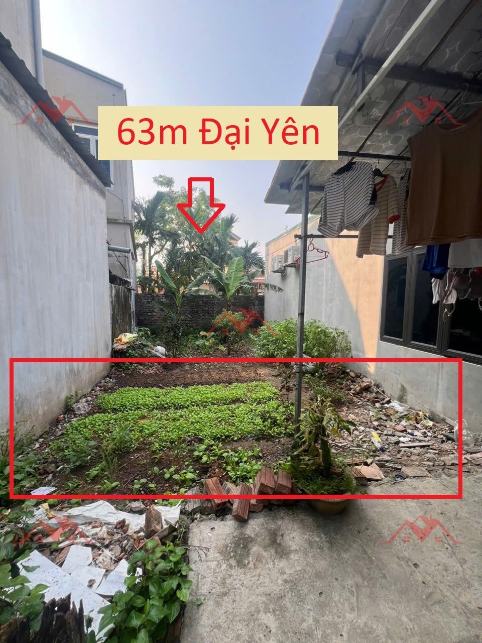 CHÍNH CHỦ BÁN LÔ ĐẤT 63M TẠI ĐẠI YÊN-CHƯƠNG MỸ-HÀ NỘI - Ảnh chính