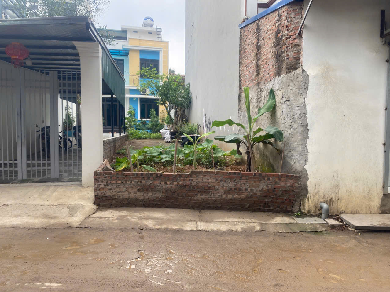 CHÍNH CHỦ BÁN LÔ ĐẤT 60M TẠI PHỤNG CHÂU-CHƯƠNG MỸ-HÀ NỘI - Ảnh chính