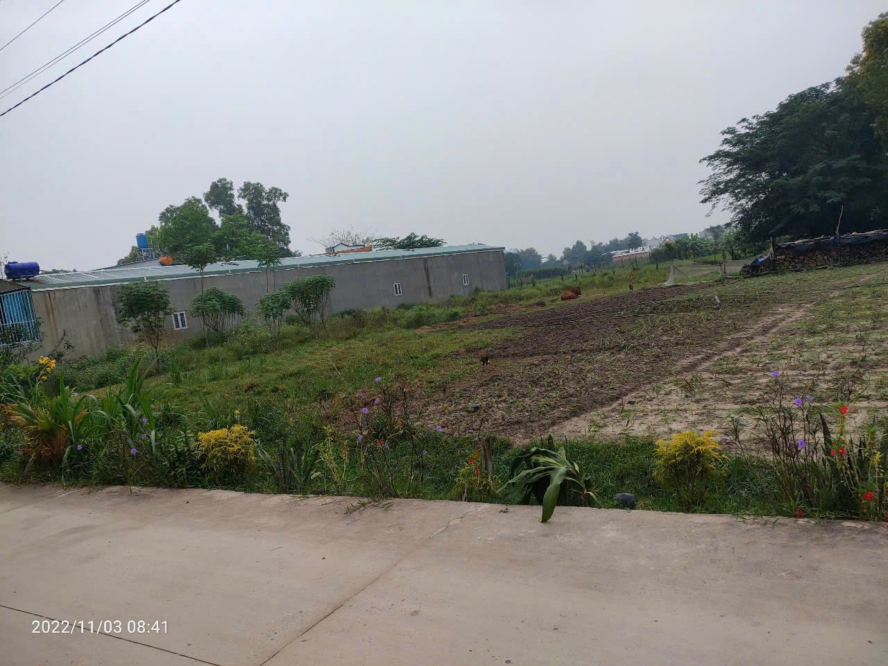 GIÁ TỐT - CHÍNH CHỦ Cần Bán Lô Đất Nền Full Thổ Cư Tại Xã  Mỹ Hạnh Bắc, Đức Hòa, Long An. - Ảnh 3