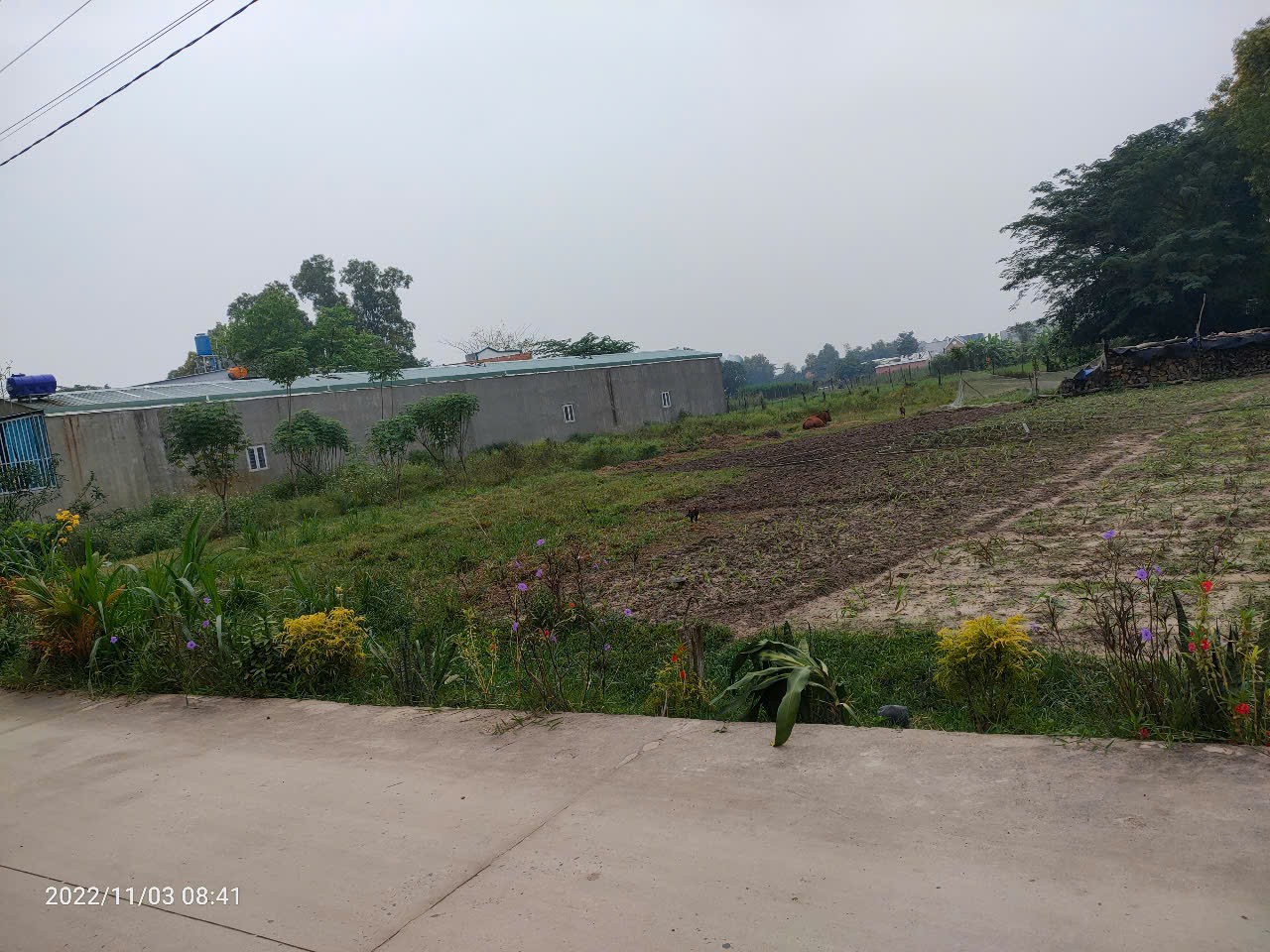 GIÁ TỐT - CHÍNH CHỦ Cần Bán Lô Đất Nền Full Thổ Cư Tại Xã  Mỹ Hạnh Bắc, Đức Hòa, Long An. - Ảnh 4