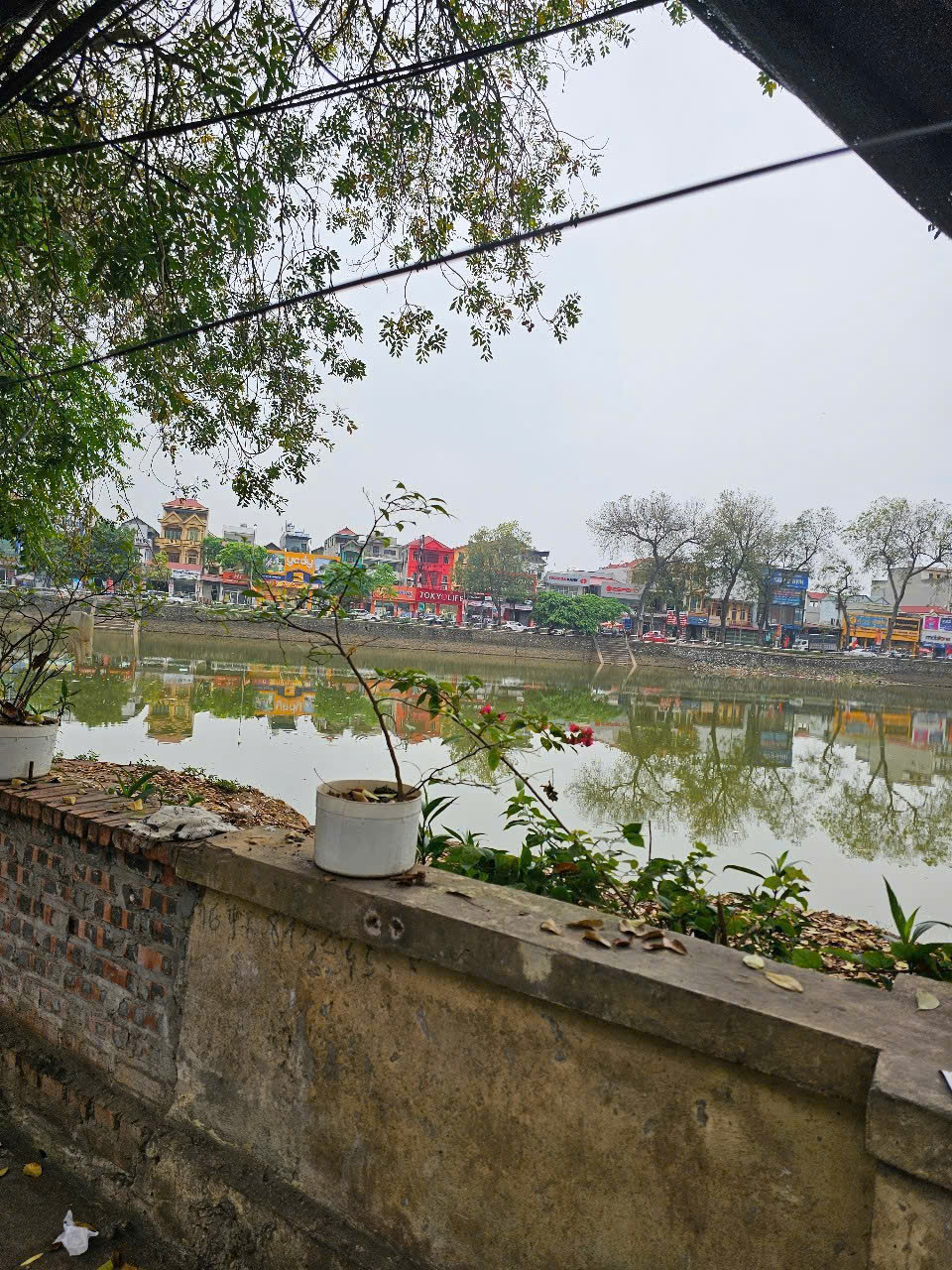 Cho Thuê MBKD Tầng 1 Tại Xã Tiền Phong, Huyện Mê Linh, Hà Nội - Ảnh 3