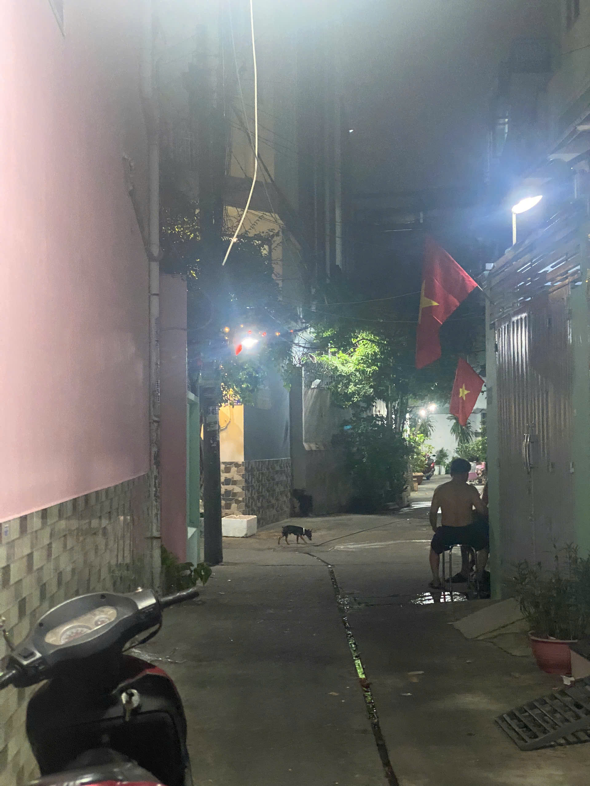 BÁN NHÀ QUẬN 11, HÒA BÌNH, GẦN ĐẦM SEN, 52M2, HẺM XE HƠI, NHỈNH 5 TỶ - Ảnh 2