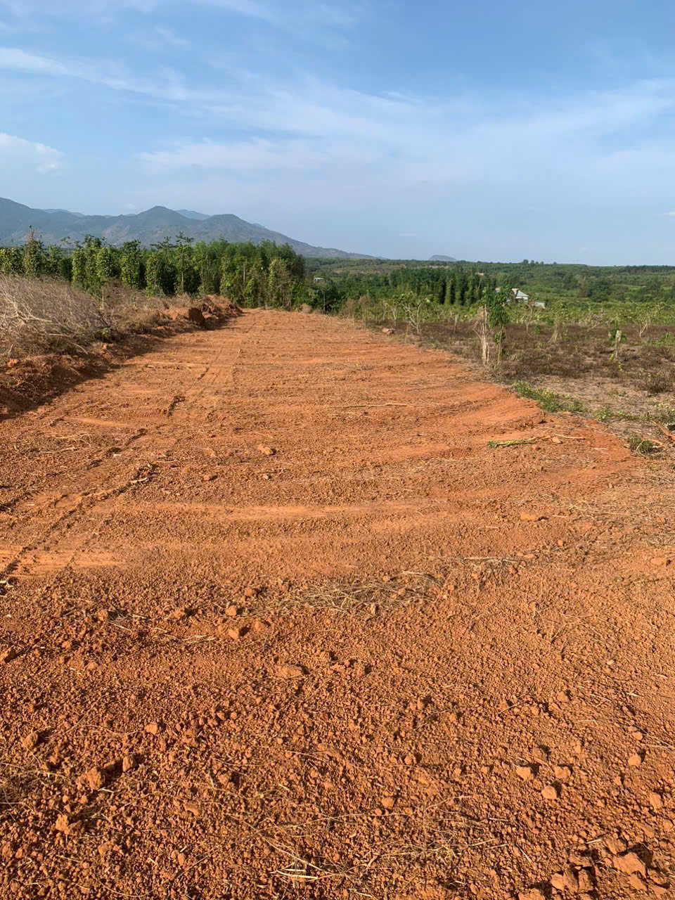 Tổng 4068.1m vuông<br>Đất tại xã hoà hiệp,xuyên mộc - Ảnh chính