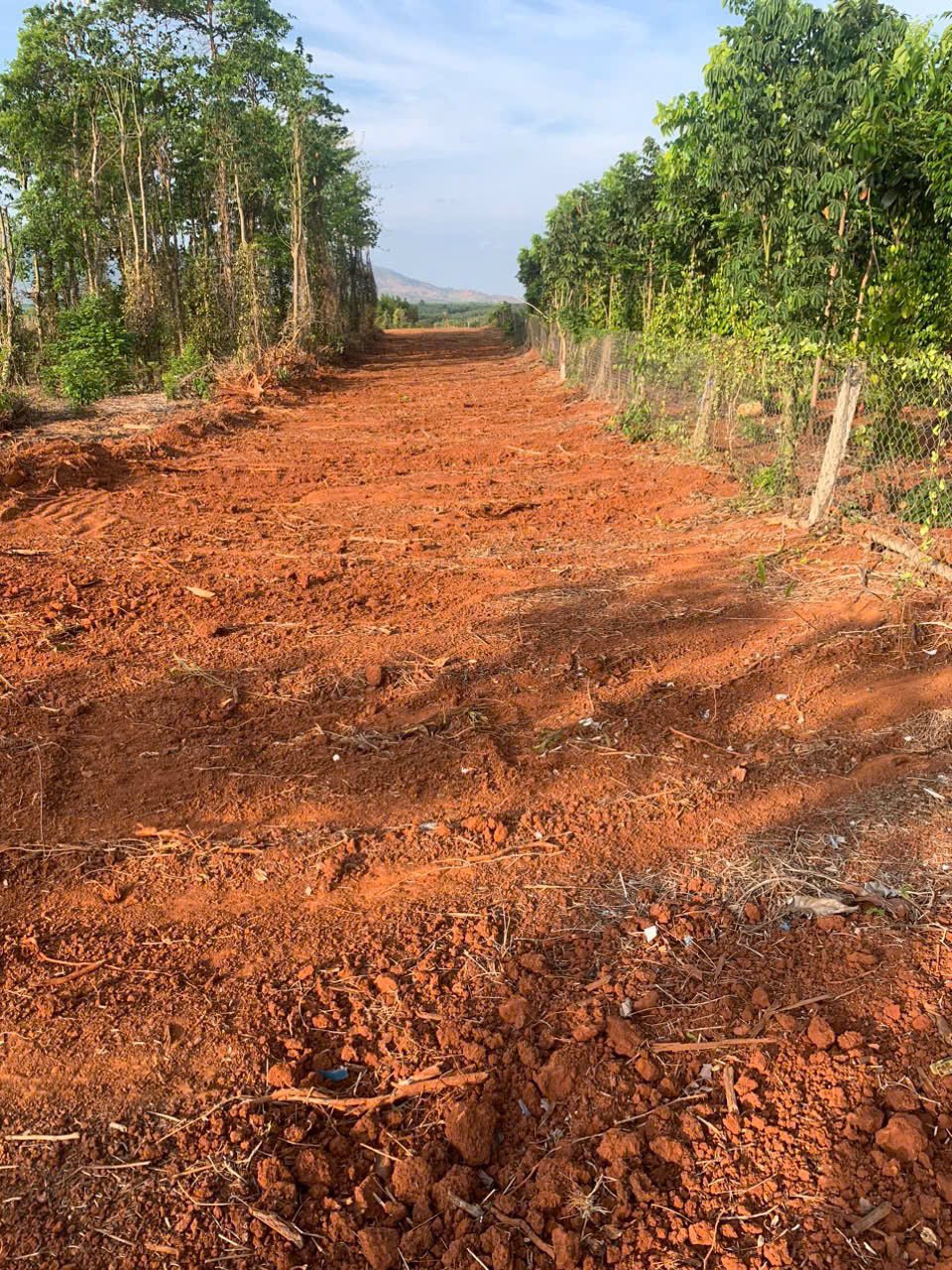 Tổng 4068.1m vuông<br>Đất tại xã hoà hiệp,xuyên mộc - Ảnh 1