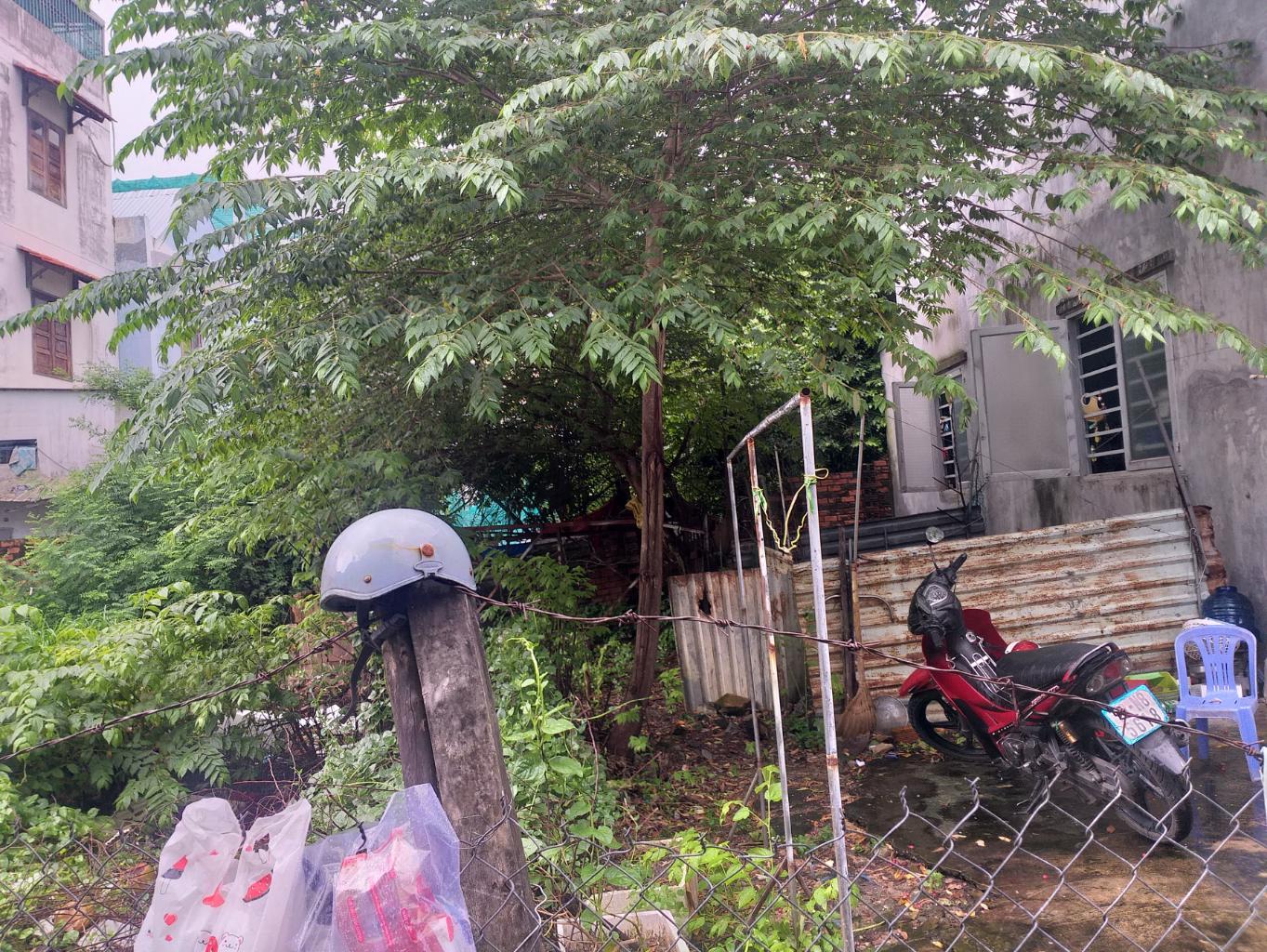 Bán đất Nguyễn Văn Tăng, Long Thạnh Mỹ,  Quận 9, 526m2, full thổ, HXH, Lô góc giá chỉ 20 tỷ TL - Ảnh 1