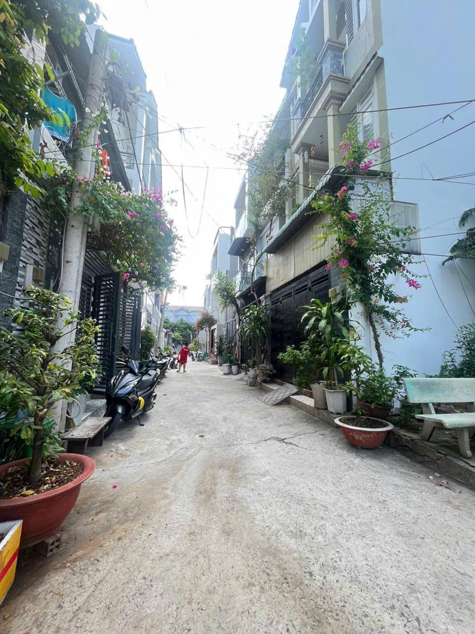 BÁN 2 LÔ ĐẤT LIỀN KỀ GẦN CHỢ HIỆP BÌNH - ĐƯỜNG 49 - HIỆP BÌNH CHÁNH - THÀNH PHỐ THỦ ĐỨC - Ảnh 2