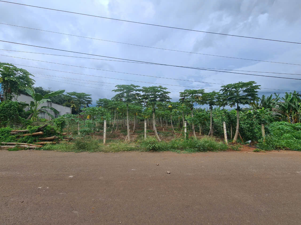 🎯 CẦN BÁN LÔ ĐẤT ĐẸP – DIỆN TÍCH 1.008 m² – XÃ HÒA LONG, TP. BÀ RỊA - Ảnh chính