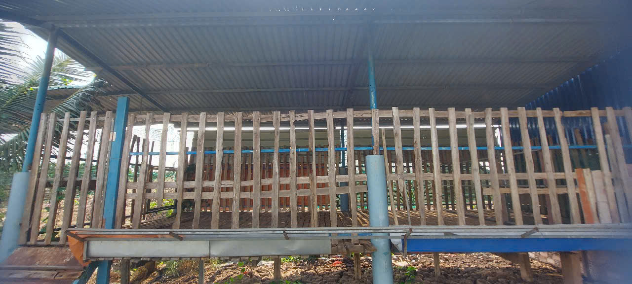CHÍNH CHỦ Cho thuê đất tại xã Thanh Bình, huyện Trảng Bom,Tỉnh Đồng Nai - Ảnh 2