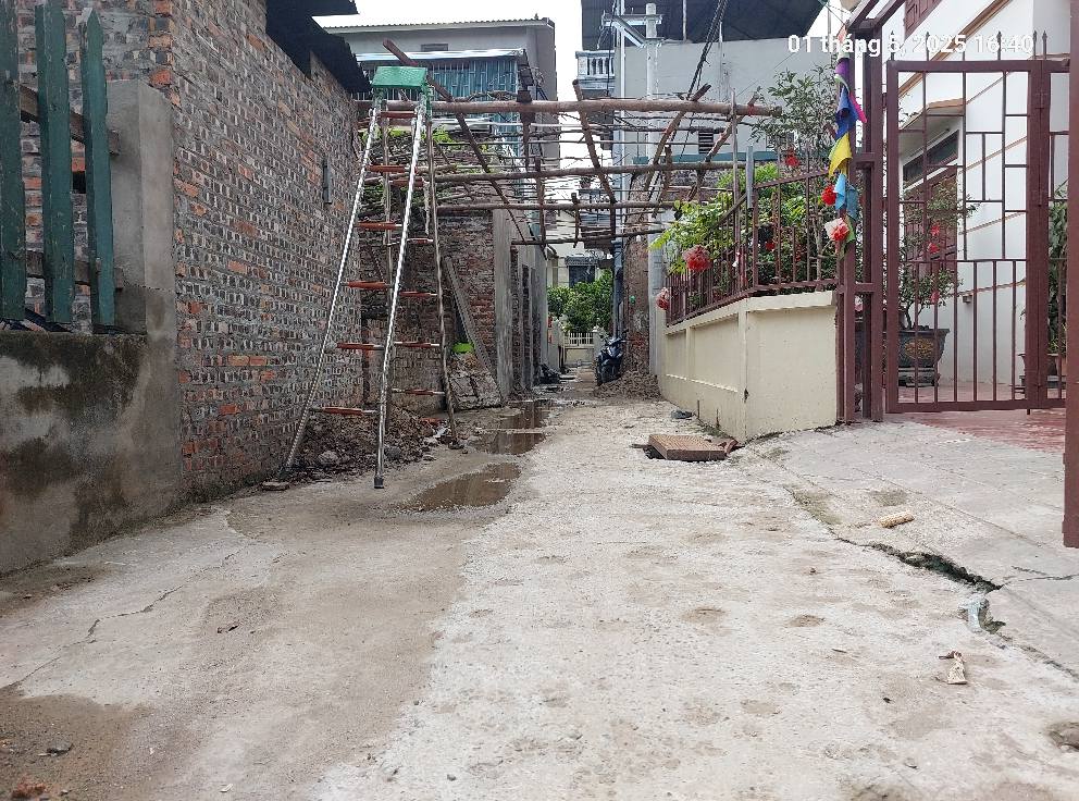 Đất Bắc Hồng 61m2, mt5m, 3.98 tỷ, ô tô gần, Đông Anh. - Ảnh 4