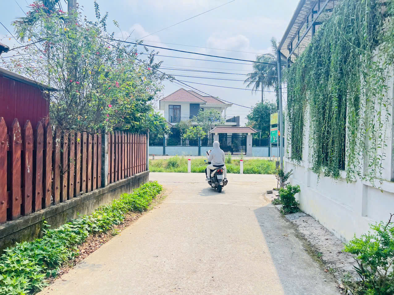 🔥 Bán Lô góc 2 mặt tiền gần chợ Mai Phú Thượng , TP Huế - Ảnh 3