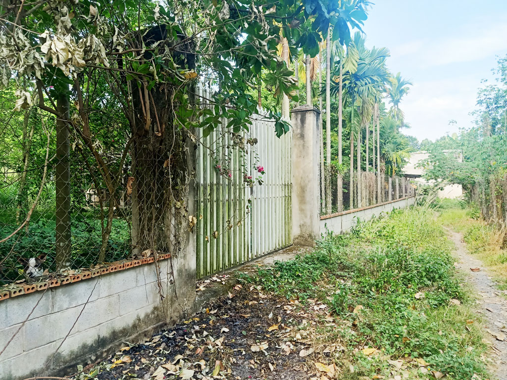 Bán nhà vườn 1/ đường 437 - 1653m2 - 30x59 - 300m2 thổ cư - xã Phú Hòa Đông - Củ Chi - Ảnh chính