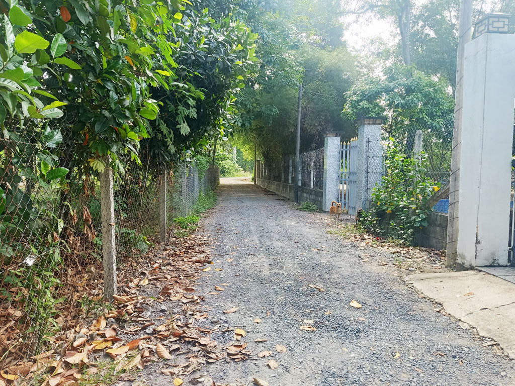 Bán nhà vườn 1/ đường 437 - 1653m2 - 30x59 - 300m2 thổ cư - xã Phú Hòa Đông - Củ Chi - Ảnh 1