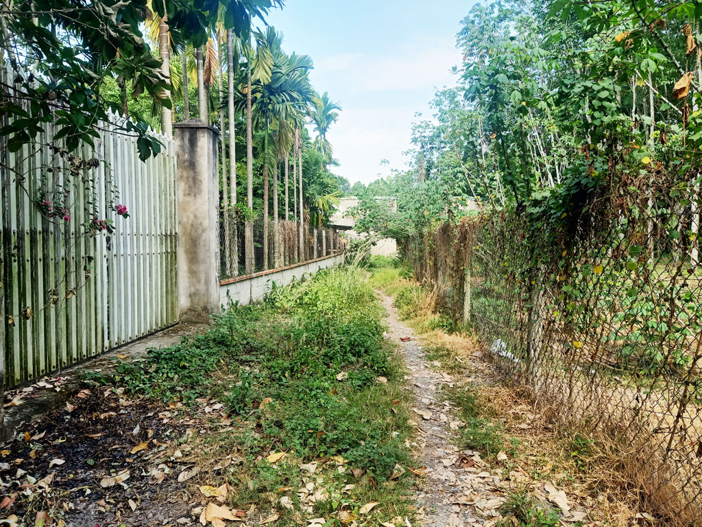 Bán nhà vườn 1/ đường 437 - 1653m2 - 30x59 - 300m2 thổ cư - xã Phú Hòa Đông - Củ Chi - Ảnh 2