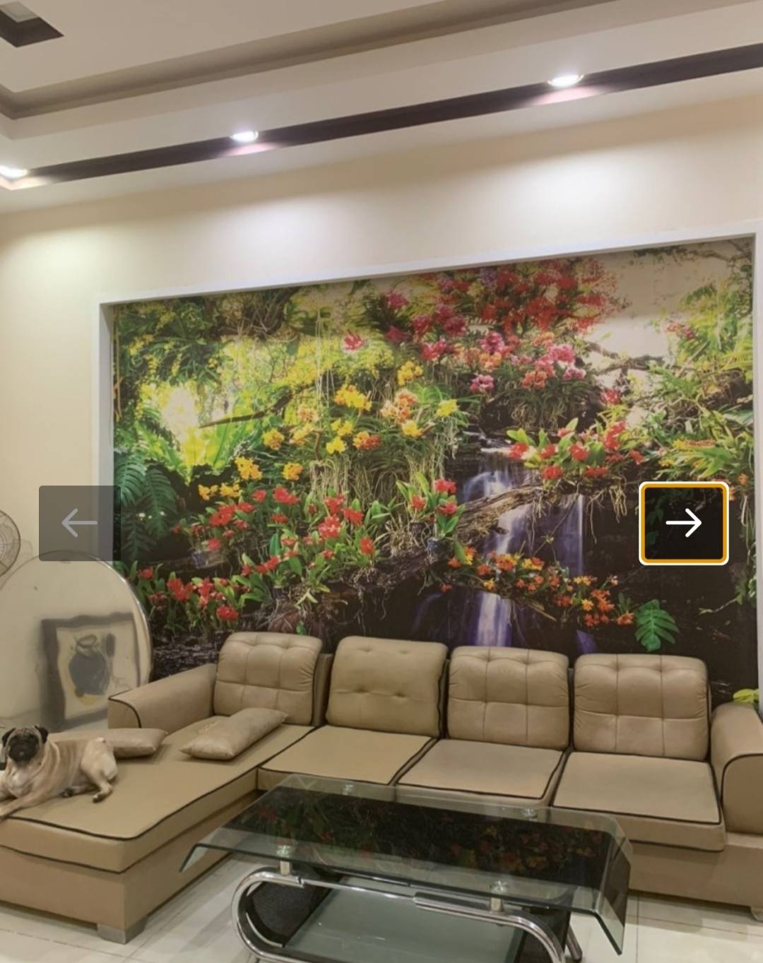 BÁN NHÀ MẶT PHỐ BÙI THỊ LUNG, HÓC MÔN - 7.5 TỶ - 180M2 - 2 TẦNG, SỔ HỒNG CHÍNH CHỦ - Ảnh 2