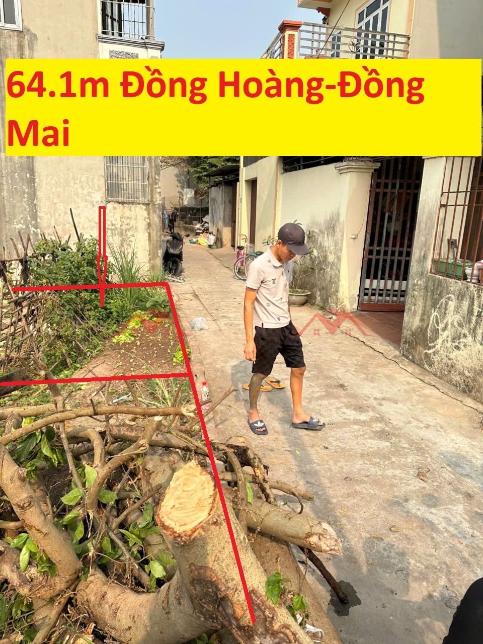 CHÍNH CHỦ BÁN LÔ ĐẤT 64,1M TẠI ĐỒNG MAI-HÀ ĐÔNG-HÀ NỘI - Ảnh chính