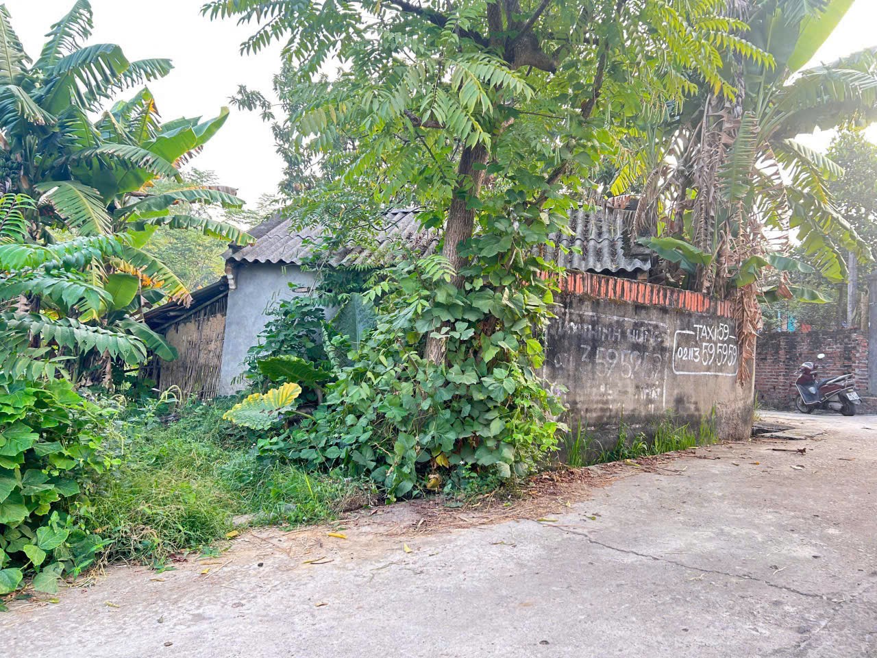 ĐẤT ĐẸP - GIÁ ĐẦU TƯ Chính chủ cần bán nhanh lô đất vị trí đẹp tại huyện Lập Thạch, tỉnh Vĩnh Phúc - Ảnh 1