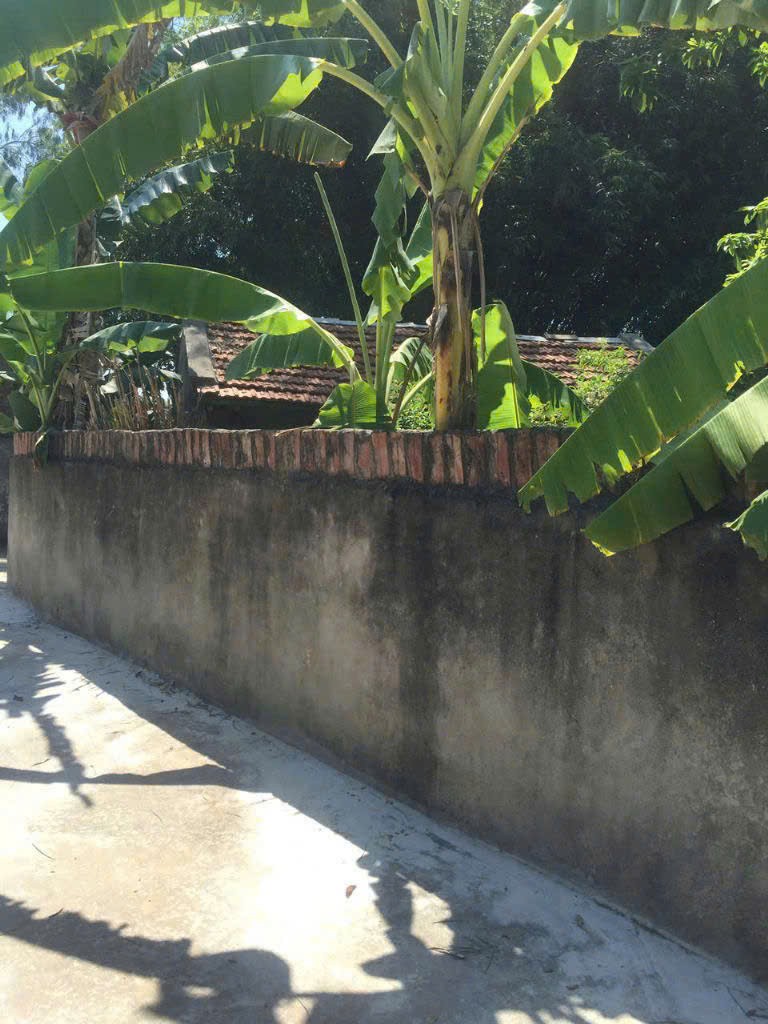 ĐẤT ĐẸP - GIÁ ĐẦU TƯ Chính chủ cần bán nhanh lô đất vị trí đẹp tại huyện Lập Thạch, tỉnh Vĩnh Phúc - Ảnh 4