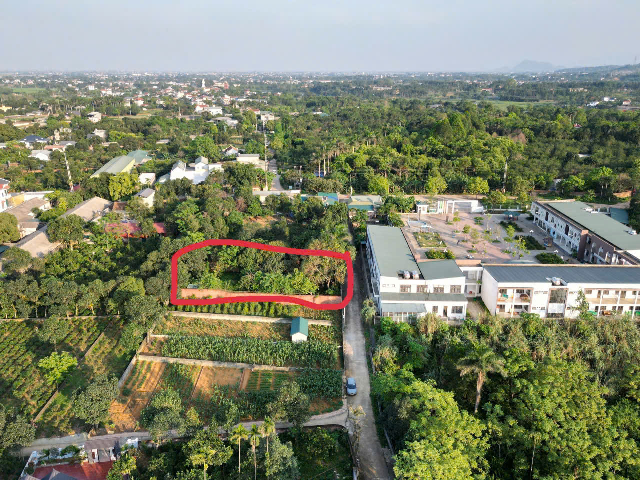 BÁN NHANH LÔ ĐẤT 720M2 PHÚ CÁT; GIÁ RẺ BÈO - Ảnh chính