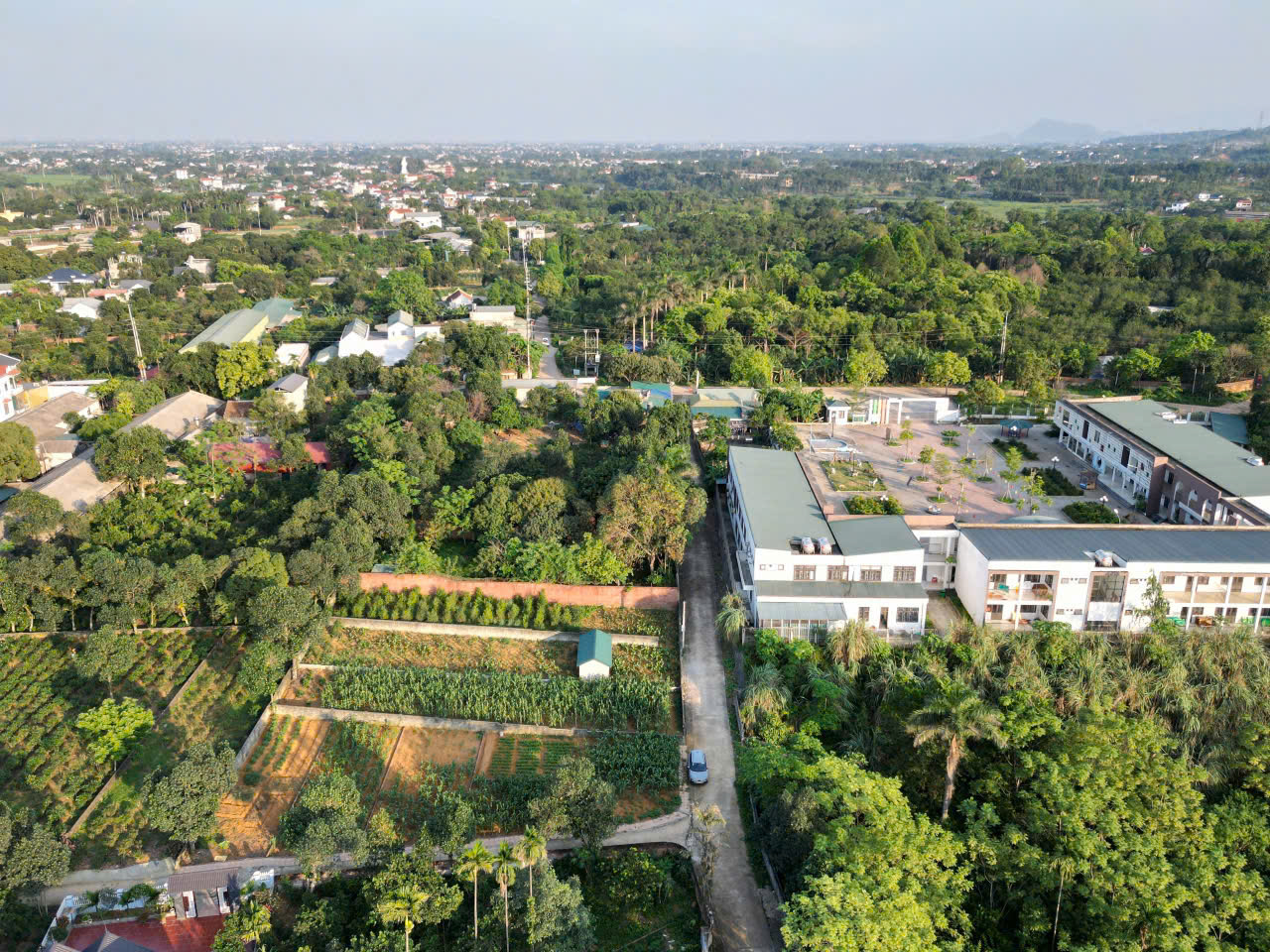 BÁN NHANH LÔ ĐẤT 720M2 PHÚ CÁT; GIÁ RẺ BÈO - Ảnh 2