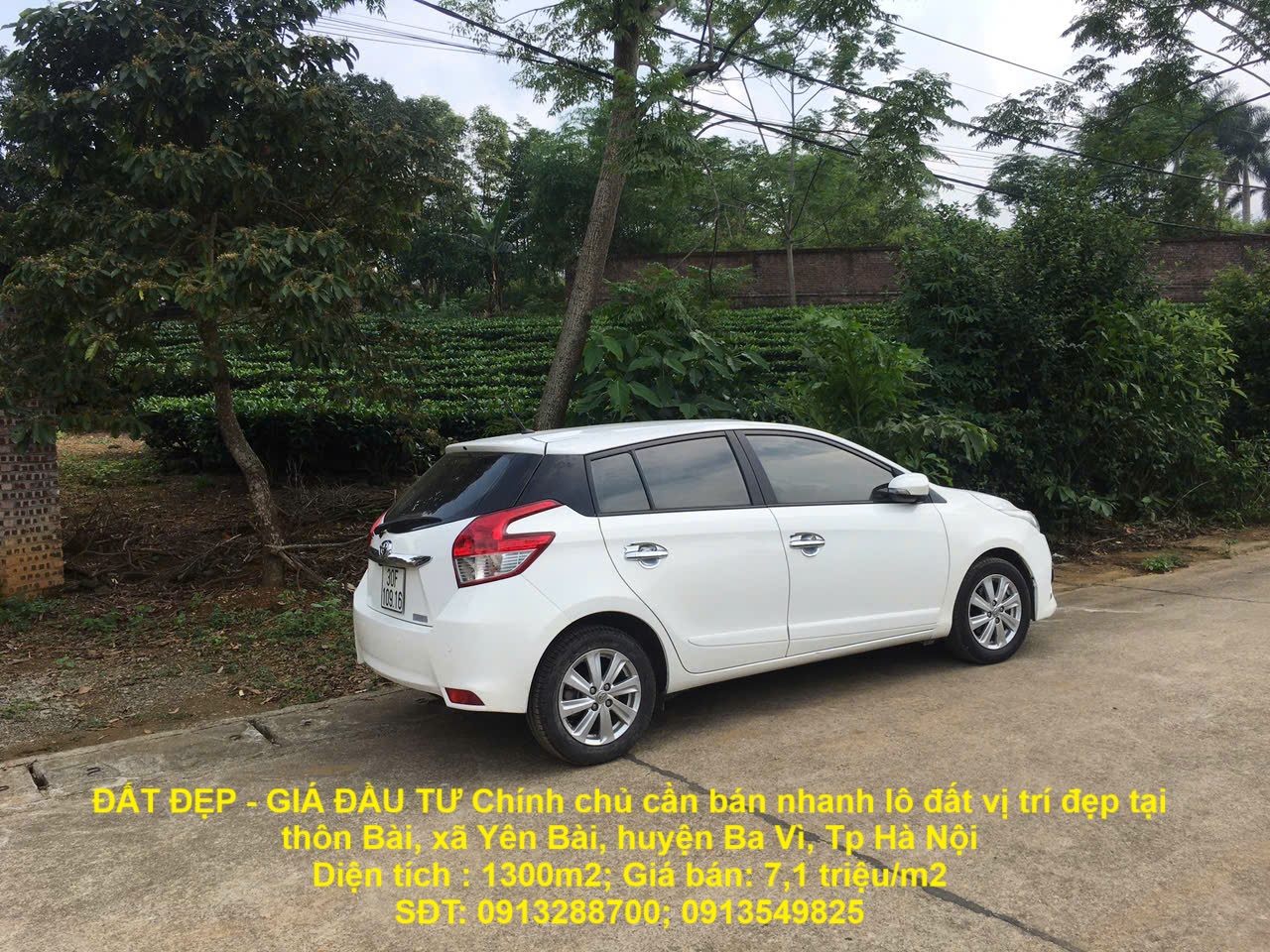 ĐẤT ĐẸP - GIÁ ĐẦU TƯ Chính chủ cần bán nhanh lô đất vị trí đẹp tại huyện Ba Vì, Tp Hà Nội - Ảnh chính